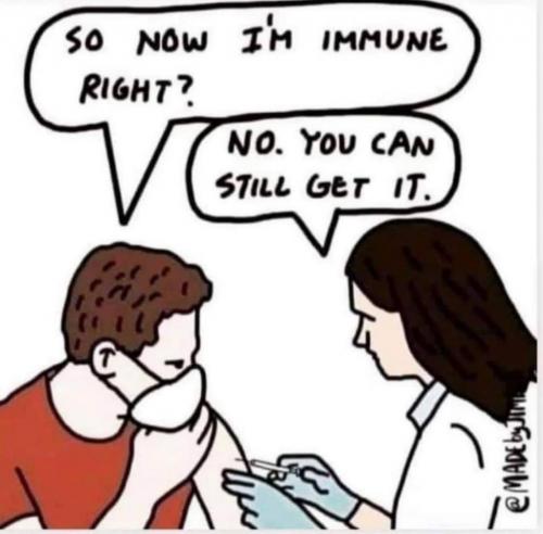 immune