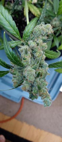 Message_1630338680474