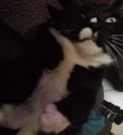 FB_IMG_1630058874338