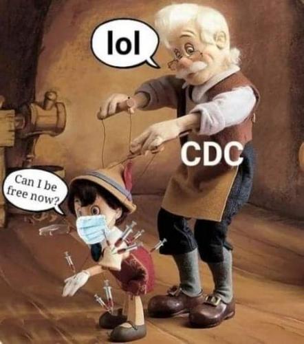 FB_IMG_1628106786269