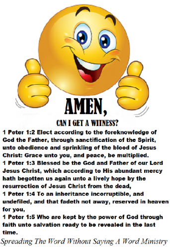 21032447_1508503525898440_5128486277575405889_n