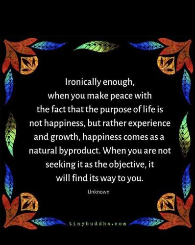 232378078_382691366794236_6887033112460144268_n