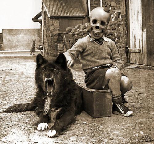 tumblr_7f642ca5ee3864c7191d4825bb47d2e9_e41e9b0a_540