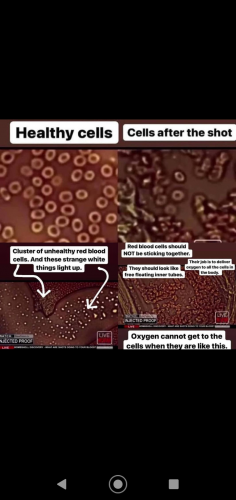 Screenshot_20210809-165049