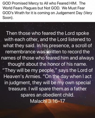 8E05CA34-E934-4AD5-86DE-B1DE95A00591-1808-000001B1A2E46191