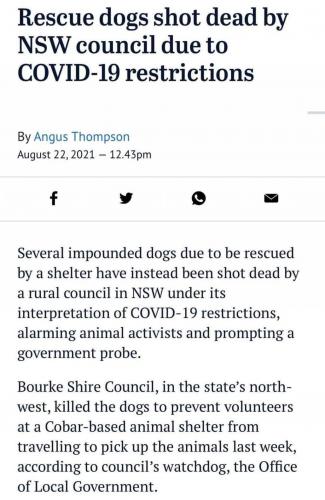 FB_IMG_1629674035723