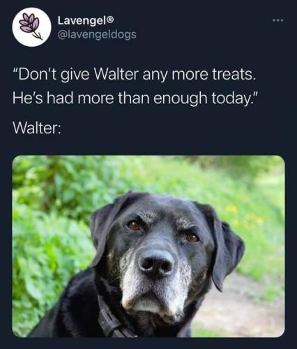 221385840_4801055759913509_874622846311686750_n