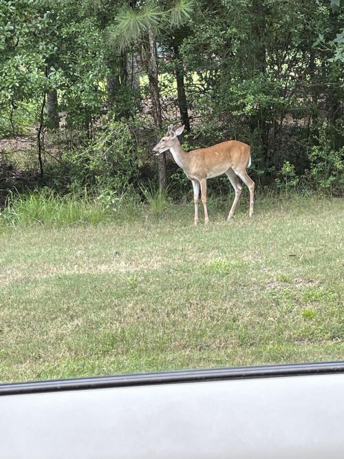 0A82AEEB-4726-4C96-ACC4-4E8419B75EB5