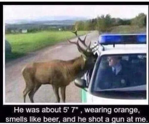 deer cop