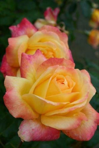 07:48:30 GMT-0500 (CDT)