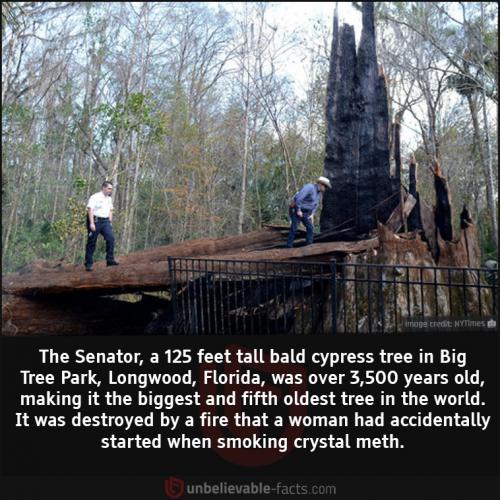 240819111_4200585060053644_5959112475094824696_n