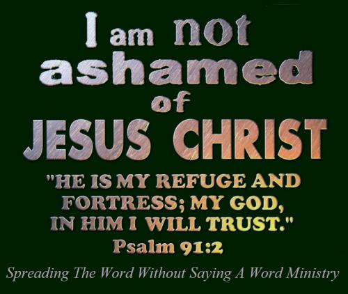 423907_367136519987777_1334243071_n