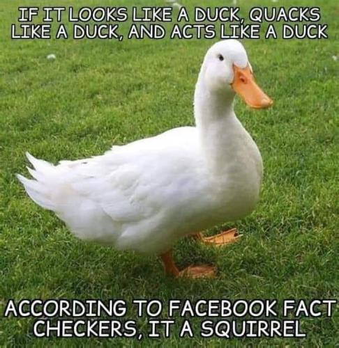 quacks like a duck