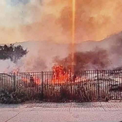 FB_IMG_1629568039719