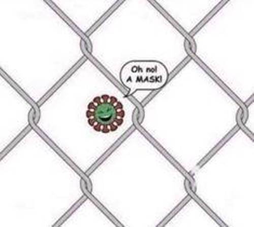mask oh no