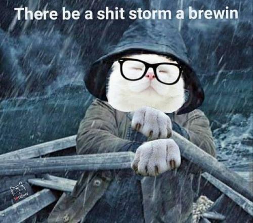shit storm