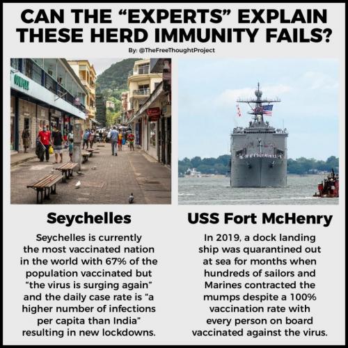 235604577_2601324973508034_2220321149721721725_n