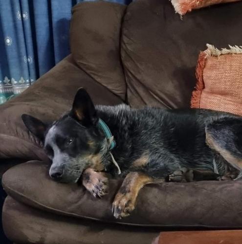 06:47:15 GMT+1000 (AEST)