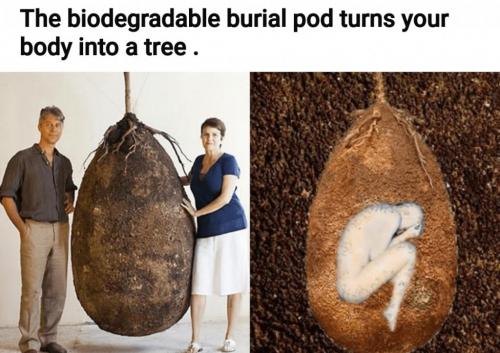 Screenshot_20210815-152350_Reddit