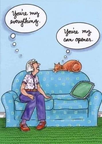 FB_IMG_1628922037598