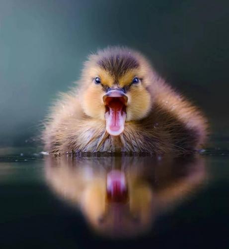 240124145_396710551832624_2764564822695911784_n