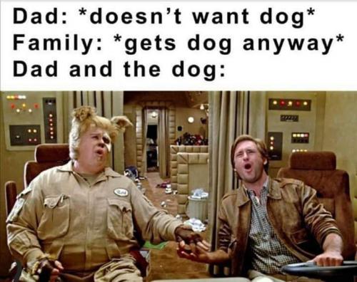 12:51:17 GMT-0500 (CDT)