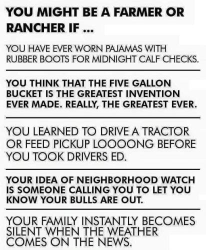 FB_IMG_1628935298589