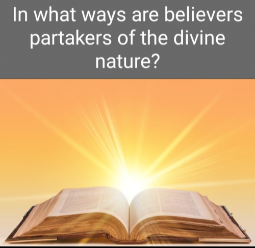 Screenshot_20210818-214657