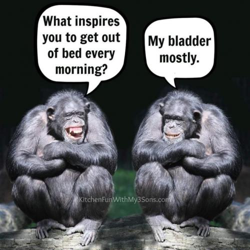 18:17:11 GMT-0700 (PDT)