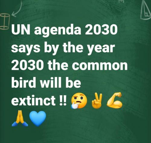 00:00:34 GMT-0500 (CDT)