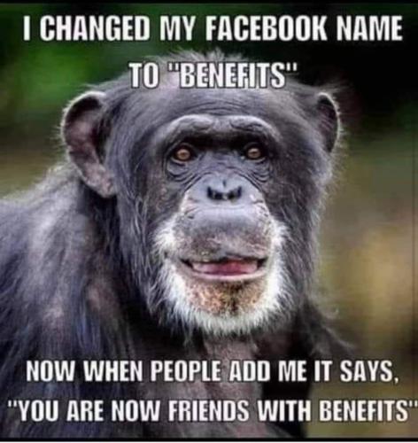 FB_IMG_1630296670136