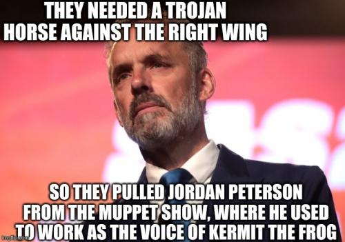 jordan peterson controlled opposition