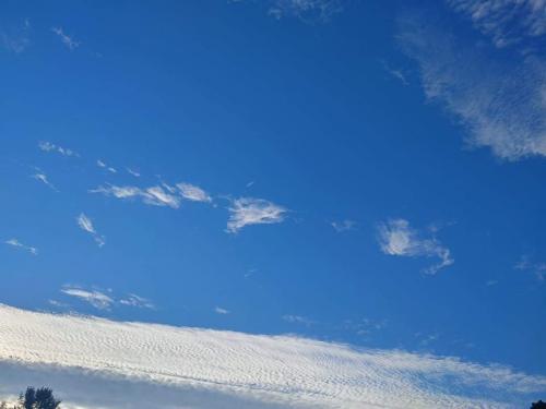 received_391949409209191