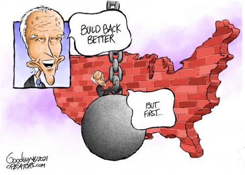 Bidendestroys