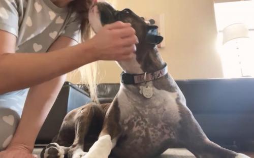 3861BFC6-1E6A-4CEF-B5CC-443F907EA23B