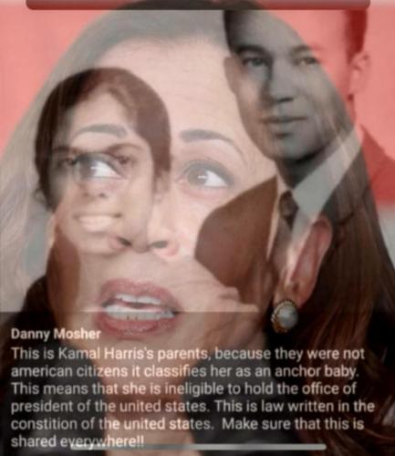 Kamala Harris Ineligible to Be President