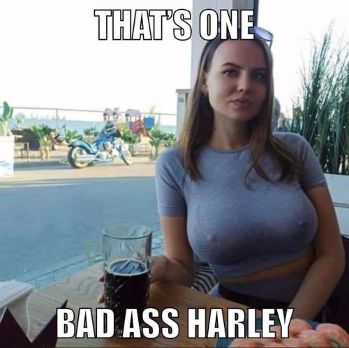 harley babe