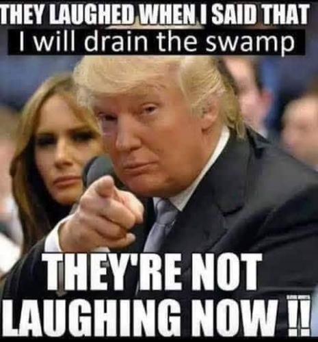 trump swamp