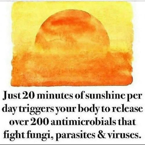 FB_IMG_1630361498418