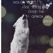 wolves dont care about sheep