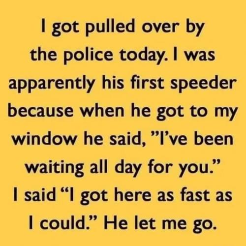 228024807_1499909827022866_104363868390078616_n