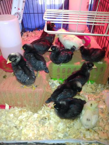 IMG_20210731_150712085