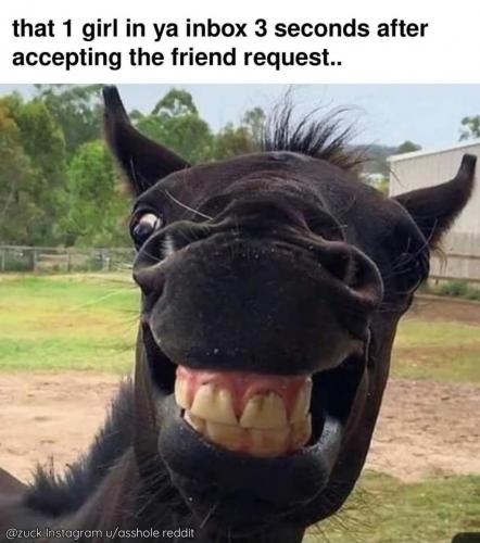 FB_IMG_1630443919746