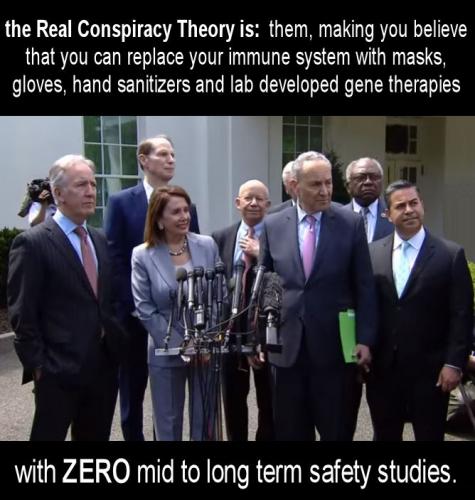 conspiracy theory30