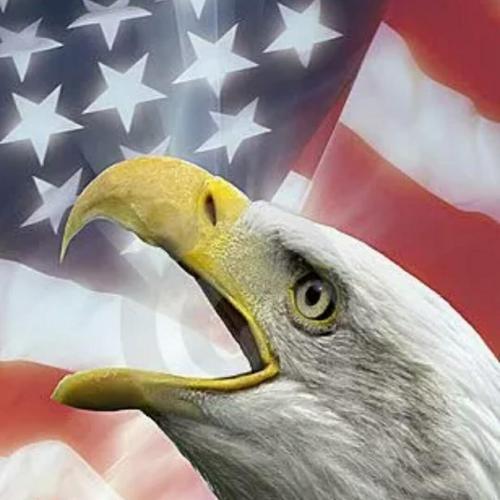 11:56:54 GMT-0400 (EDT)