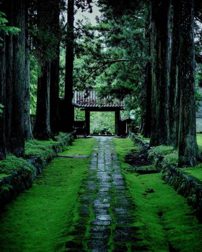 240802252_1120980235093573_2852816403067509449_n