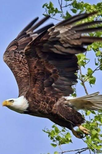 230134447_10227647526279488_2466489684430399538_n