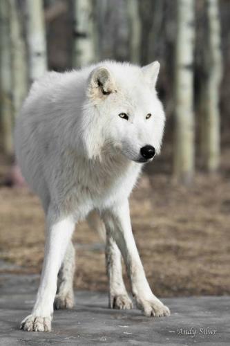 291bf0d93da0688da669409e0145a313