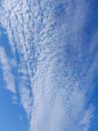 received_4328965130517333