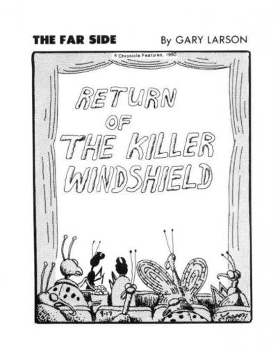 FB_IMG_1628513928224